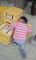 Τ