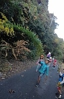 ε��������