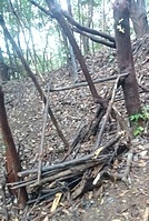 ����ҤȤΤ�����