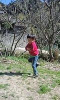 �֥쥤�����󥹢�