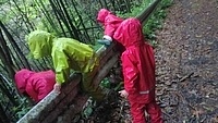 パキパキのとこには、ここから入る