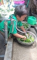 お茶の葉を洗う