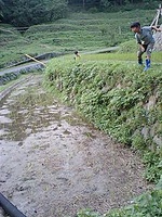 ʤ饨á