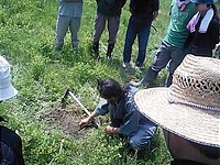 草を刈り、土の表面を薄く削り取る