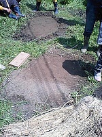 板で抑えて土を軽く締める