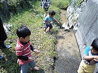 子どもたちは川でほのぼのと