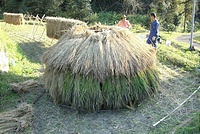 古代米ドーム